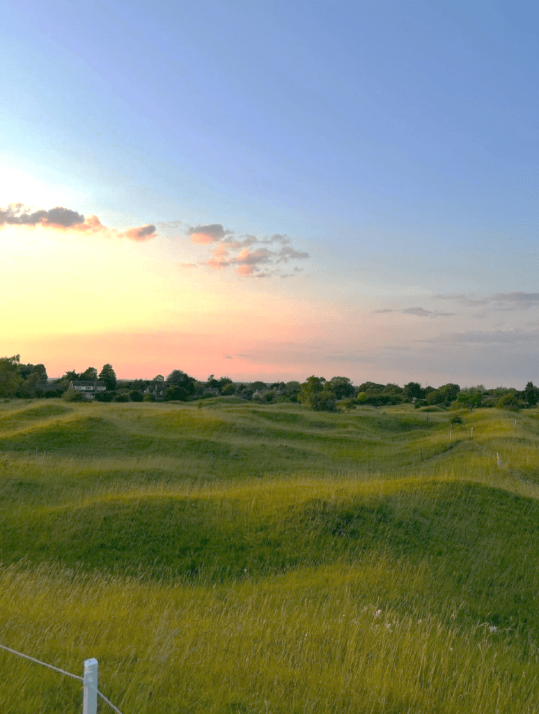 Photo of undulating, grass-covered hills. The sun is about to set, the sky turning pink and orange.